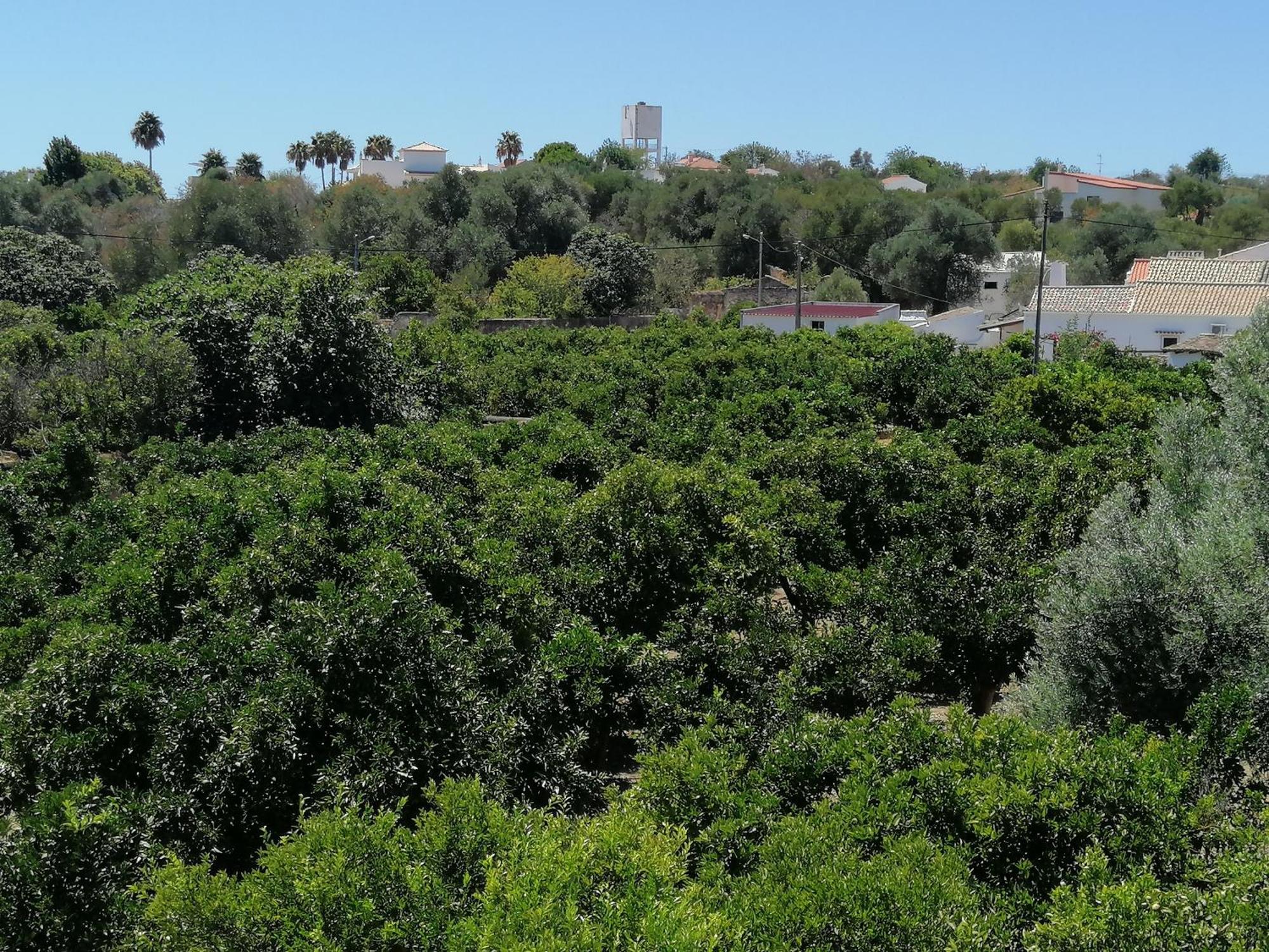 Villa Cerro E Mar Moncarapacho Εξωτερικό φωτογραφία
